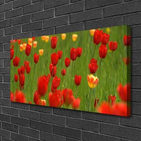 Obraz na plátne Tulipány rastlina 125x50 cm