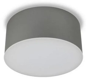 LED2 - LED Stropné svietidlo BUTTON LED/17W/230V strieborná