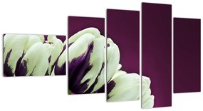 Makro tulipánov - obraz