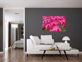 Obraz - Ružové tulipány (90x60 cm)