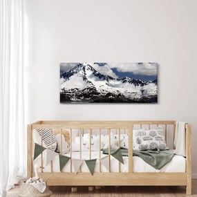 Obraz - Národný park Kenai Fjords (120x50 cm)