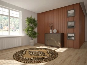 Alfa Carpets, TRHÁK: Kusový koberec TEHERAN T-102 beige kruh, 190x190 (průměr) kruh, béžová, chodba / predsieň