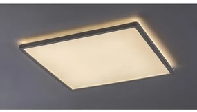 Rabalux 3430 - stmievateľné stropné LED svietidlo PAVEL LED/22W/230V