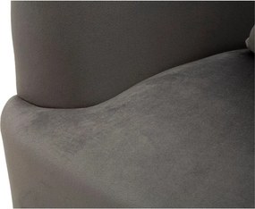 Sivé zamatové kreslo Silvery – Mauro Ferretti