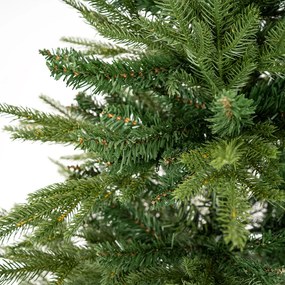 Vianočný stromček Smrek sivý, 150 cm