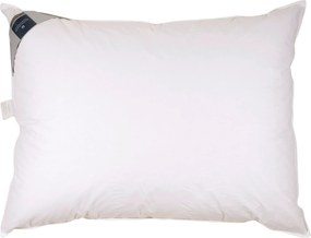 XXXLutz 3-KOMOROVÝ VANKÚŠ, 40/80 cm Billerbeck - Prikrývky & vankúše - 003279017903