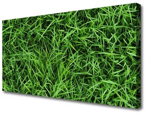 Obraz na plátne Tráva trávnik 125x50 cm