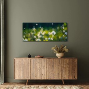 Obraz - Tráva (120x50 cm)