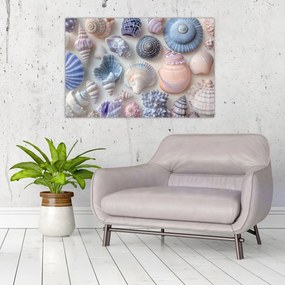 Obraz - Zbierka mušlí (90x60 cm)