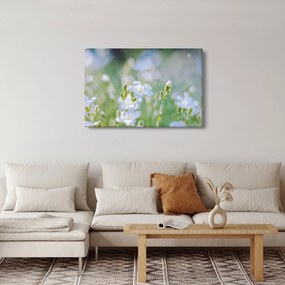 Obraz - Jemné kvety (90x60 cm)