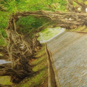 Obraz - Živý tunel z plumérií (90x60 cm)