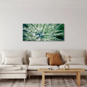 Obraz - Makro snímka kvetu (120x50 cm)