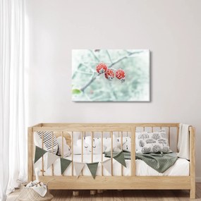 Obraz zmrznutých šípok (90x60 cm)