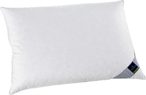 XXXLutz 3-KOMOROVÝ VANKÚŠ, 70/90 cm Billerbeck - Prikrývky & vankúše - 003279018001