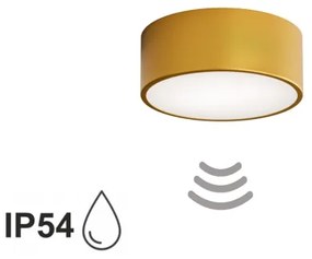 Kúpeľňové stropné svietidlo so senzorom CLEO 1xE27/24W/230V pr. 20 cm IP54 zlaté