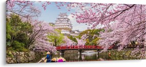 Obraz japonskej čerešne (120x50 cm)