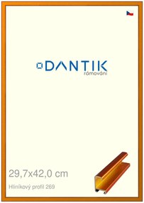 DANTIK rám na obraz 29,7x42 | ALU Oranžová Citrin broušená (Plexi Čiré)