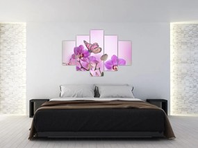 Obraz - Motýľ na kvetoch orchidey, lila (150x105 cm)
