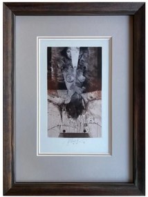 Brázda Jiří - Dvě tváře | 27.5x37.0