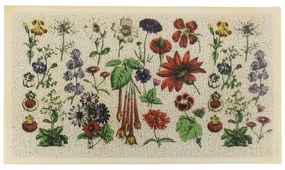 Rohožka 40x70 cm Botanicals - Artsy Doormats