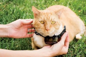 PetSafe® Extra obojok pre mačky Deluxe Ultraľahký