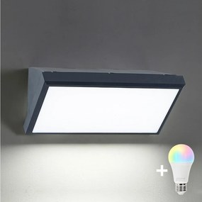 BRILAGI-LED RGBW Vonkajšie nástenné svietidlo TRIANGLE 1xE27/12W/230V antracitIP65