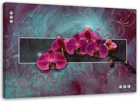 Obraz na plátně Květiny fuchsiové orchideje - 100x70 cm