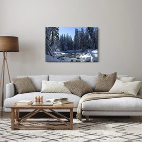Obraz zasneženého lesa (90x60 cm)
