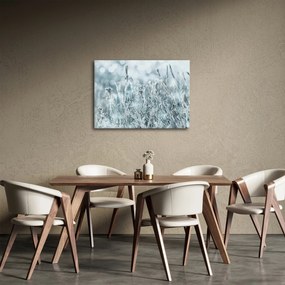 Obraz - Kúzlo zimy (70x50 cm)