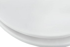 AWD WC sedátko Soft Close AWD02181696