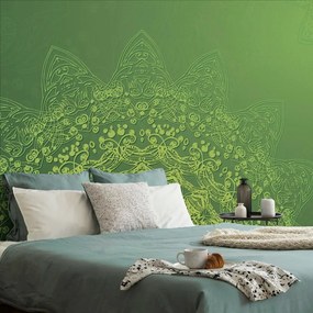 Samolepiaca tapeta moderné prvky Mandaly v zelenej - 225x150