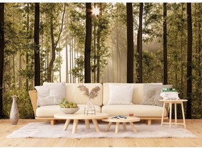Fototapeta XXL Forest 360 x 254 cm, 4 diely