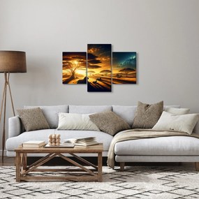 Obraz - Oddychujúce levy (90x60 cm)