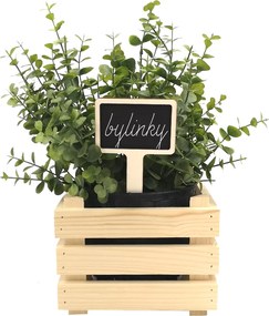 AMADEA Drevený zápich - ceduľka na bylinky, výška 15 cm, český výrobok