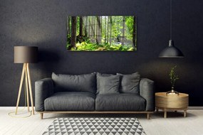 Skleneny obraz Les stromy rastlina príroda 120x60 cm