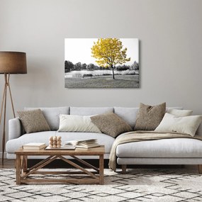 Obraz - Odpočinok v parku (90x60 cm)