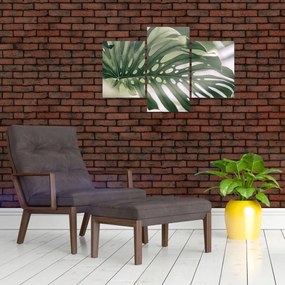 Obraz - List monštier (90x60 cm)