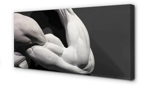 Obraz canvas Sval black and white 125x50 cm