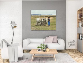 Gario Diamantové maľovanie Hortobágy park Rozmery: 40 x 30 cm, Rámovanie: Iba zrolované plátno, Diamanty: Okrúhle