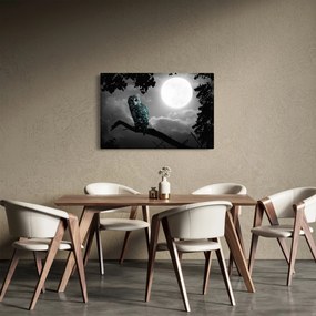 Obraz - Nočná sova, modrá (90x60 cm)