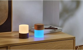 Stmievateľná stolová lampa v prírodnej farbe so skleneným tienidlom (výška 10,5 cm) Lemelia - Gingko