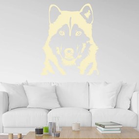 Veselá Stena Samolepka Husky Farba: béžová, Veľkosť: 60 x 49 cm