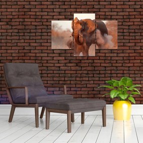 Obraz - Veľký slon africký (90x60 cm)