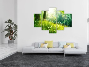 Obraz - Magická lúka plná púpav (150x105 cm)