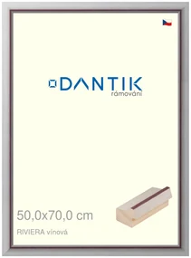 DANTIK rám na obraz 50x70 | RIVIERA vínová (Plexi Čiré)