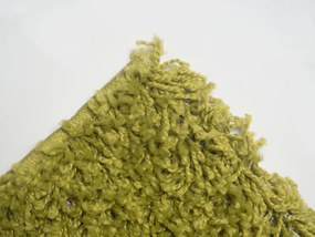 Mono Carpet, Kusový koberec Efor Shaggy 1903 Green, 120x170, zelená, obývacia izba