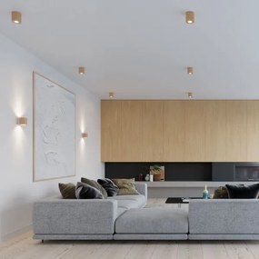 Sollux SL.0490 - Nástenné svietidlo ORBIS 1xG9/40W/230V drevo