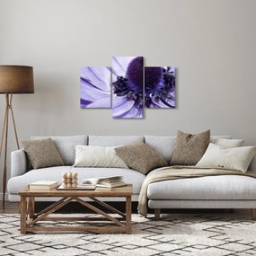 Obraz - Fialový kvet (90x60 cm)