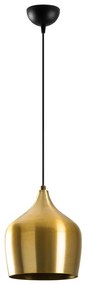 Závesné svietidlo v zlatej farbe s kovovým tienidlom ø 22 cm Dodo – Opviq lights