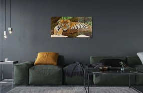 Sklenený obraz tiger tree 125x50 cm